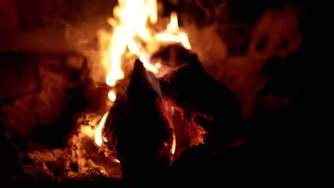 Burning Log in the Dark Stock Footage 293261490