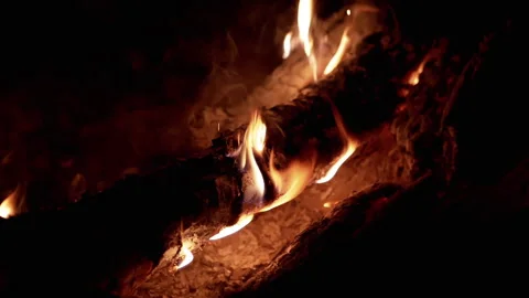 Burning Log in the Dark Stock-Footage 293274309