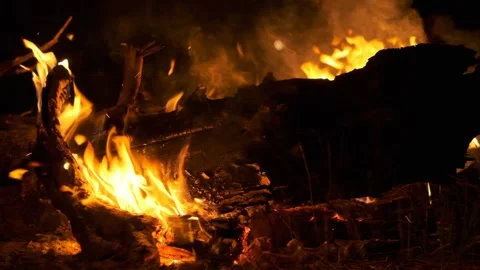 Burning log in the fire Video stock 244670495