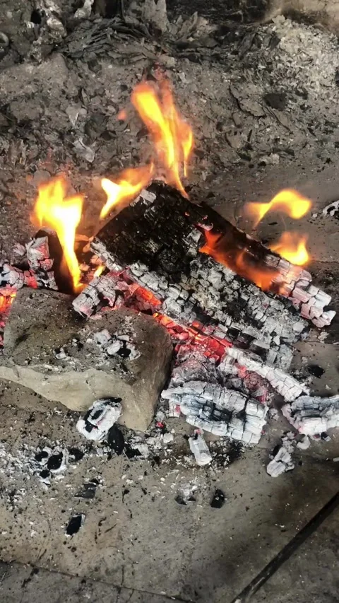 Burning log &amp; fire Vídeos de archivo 274002378