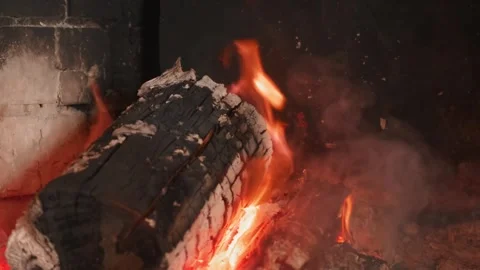 Burning log in fireplace, flame of fire Stock Footage 292149179