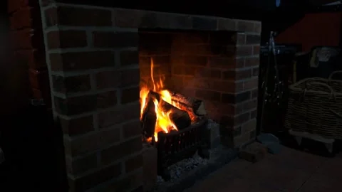 Burning log fireplace Stock Footage 169781503