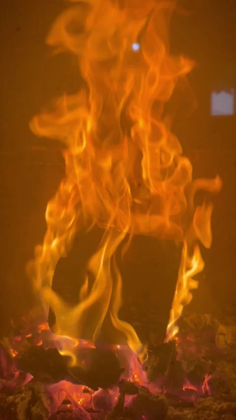 A burning log in a fireplace Stock Footage 297608044