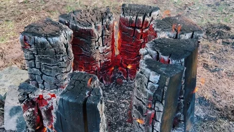A burning log. Stock Footage 239512365