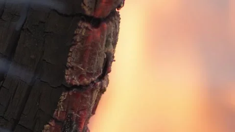 Burning log with orange glow, watch the heat and ember start to show 库存影片 334824211