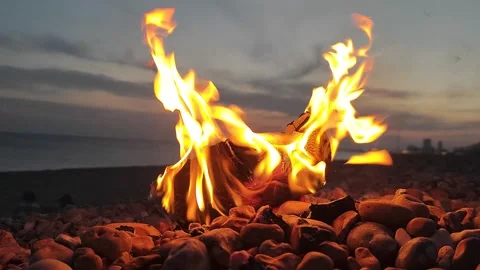 Burning log on a pebble beach Stock Footage 306104284