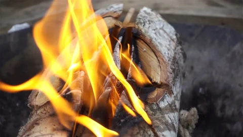 Burning log in slow motion Video stock 151113481