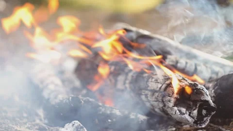 Burning Logs and Eggplants on Campfire (Closeup) Stock Footage 303516754