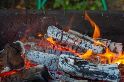 Burning logs and flames Stock Photos