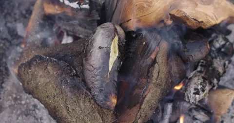 Burning logs and potatoes in fire. Cooking on fire, burnt potatoes fried on fire Stock Footage 255886880
