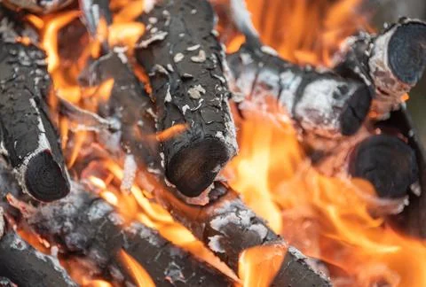 Burning logs and tree branches close up. Foto stock