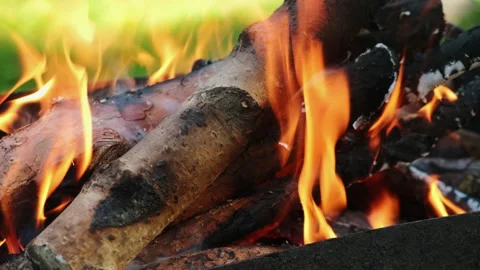 Burning logs background. Flames of fire in fireplace Stock Footage 340330771