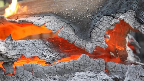 Burning logs in barbecue grill Stock Footage 97587279