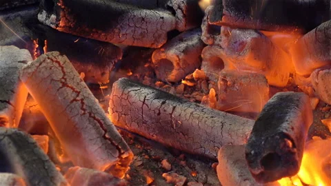 Burning logs in a bonfire as a background. Stock Footage 124769373