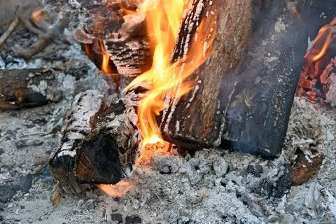 Burning logs in bonfire Stock Photos