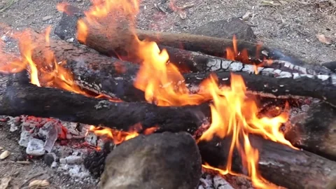 Burning logs in Campfire (Closeup) Stockbeeldmateriaal 303515415