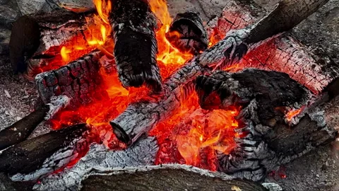 Burning Logs In campfire fire pit Outside flame Cracks charcoal embers and ashes Stock Footage 328625187