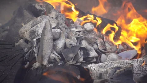 Burning logs in a campfire in slow motion Stock Footage 153095503