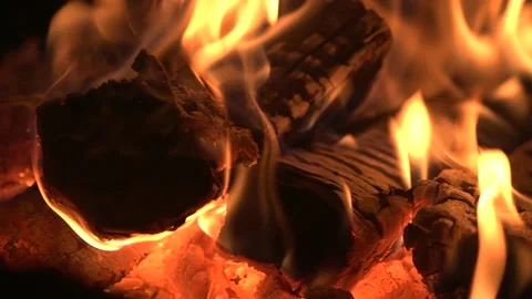Burning Logs Closeup Stock Footage 131535534