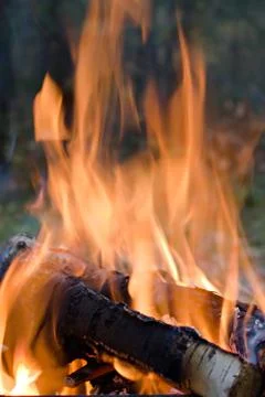 Burning logs in a fire on blurred background of blazing fire Stock Photos