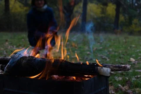 Burning logs in a fire on blurred background of an autumn forest Stock Photos