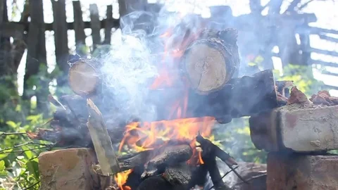 Burning logs. Fire. The fire Stock Footage 75160919