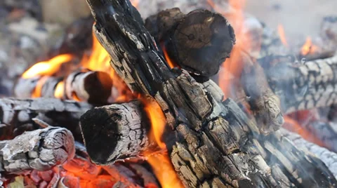Burning Logs. Fire flame. Stock Footage 33696344