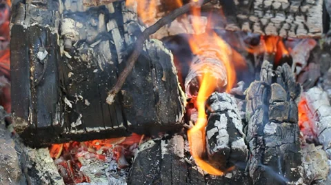 Burning Logs. Fire flame. Stock Footage 33696370