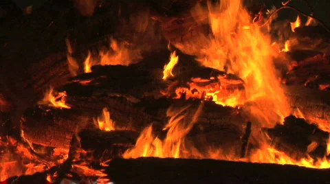 Burning Logs on Fire Stock-Footage 711549