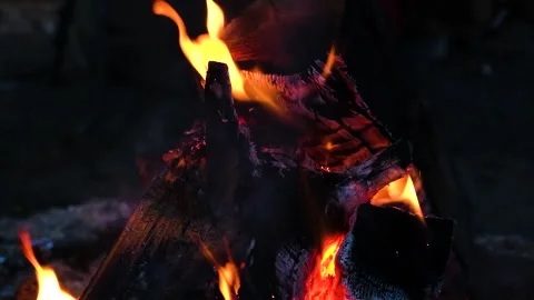 Burning logs in the fire. Stock Footage 202717637