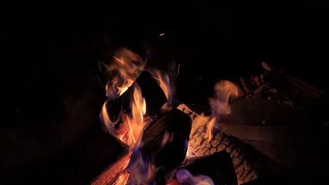 Burning logs in fire pit and cooking dome Stock Footage 88106462