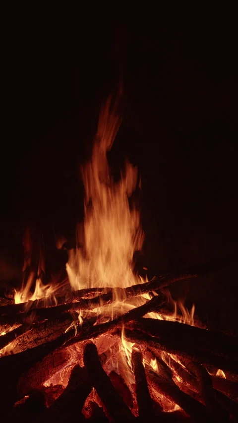Burning logs, flame, and smoke. Stock Footage 312609948