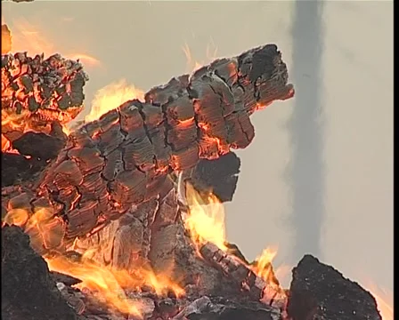 Burning Logs Stock Footage 1050412