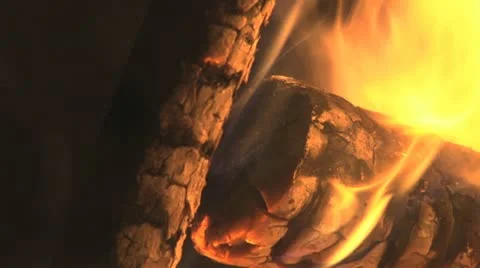 Burning Logs Stock Footage 20495913