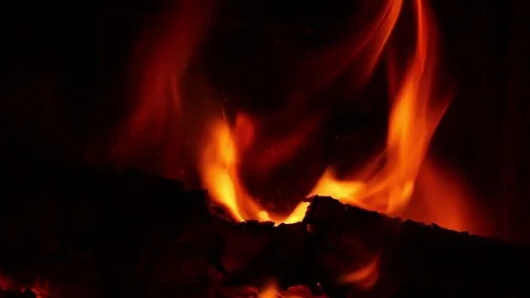 Burning logs. Video stock 71457779