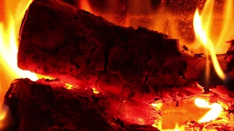 Burning logs. 스톡 동영상 71458377