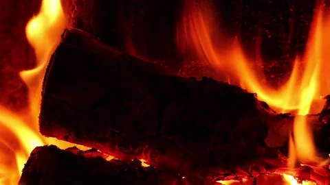 Burning logs. 스톡 동영상 71458801