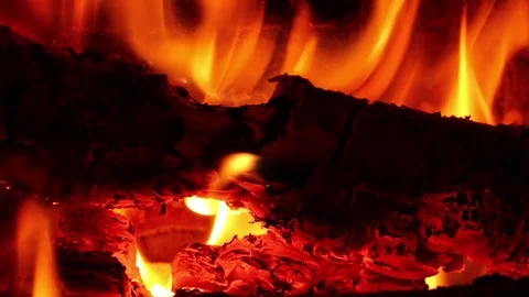 Burning logs. 스톡 동영상 71459564