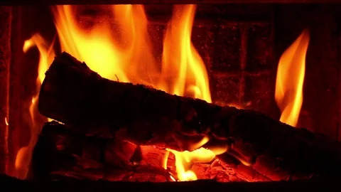 Burning logs. 스톡 동영상 71461168