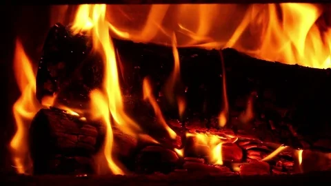 Burning logs. Video stock 71462268