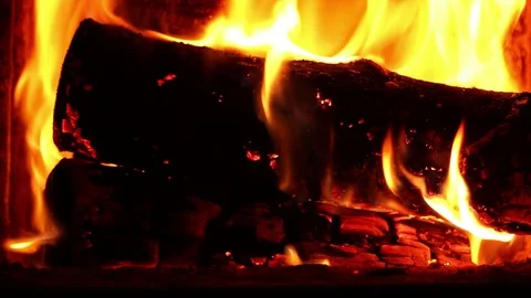 Burning logs. Vídeo Stock 71462666