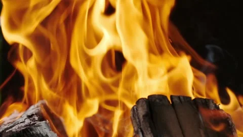 Burning logs Stock Footage 140232868
