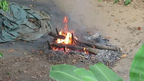 Burning logs in the garden Stock Footage 323415385