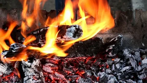 Burning logs in the grill Stock Footage 100345972