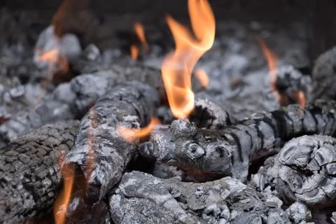 Burning logs in the grill with open fire Stock Photos