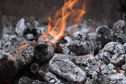 Burning logs in the grill Stock Photos