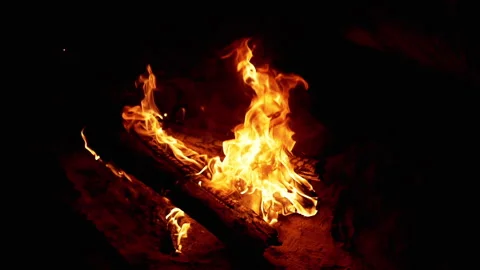 Burning Logs in the Night Stock Footage 293280967