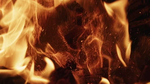 Burning logs in the oven Stock-Footage 163420371