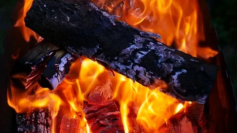 Burning logs. The view from the top Stock Footage 71245742