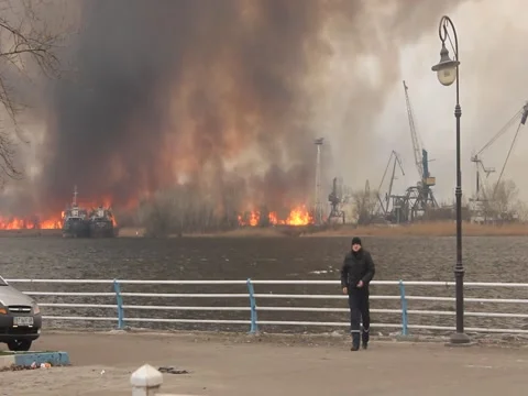 Burning marshes disaster 動画素材 63078803